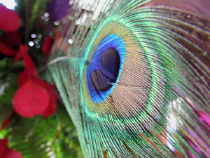 Temps de Flors 2019. Muntatges florals als claustres de la Catedral