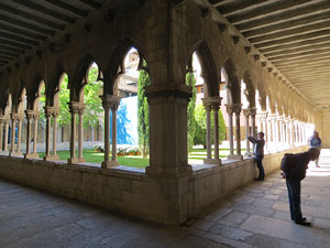 Temps de Flors 2019. Muntatges florals al Claustre de Sant Dom&egrave;nec