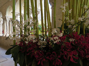 Temps de Flors 2019. Muntatges florals als claustres de Sant Pere de Galligants