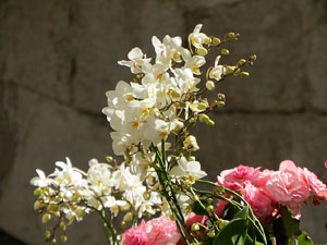 Temps de Flors 2019. Muntatges florals als claustres de Sant Pere de Galligants