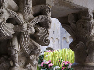 Temps de Flors 2019. Muntatges florals als claustres de Sant Pere de Galligants