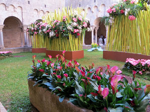 Temps de Flors 2019. Muntatges florals als claustres de Sant Pere de Galligants
