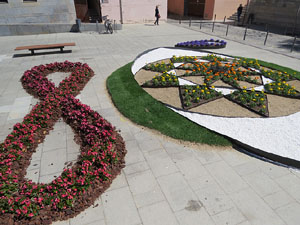 Temps de Flors 2019. Muntatges, instal&middot;lacions i exposicions florals a diversos indrets