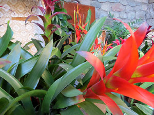 Temps de Flors 2019. Muntatges, instal&middot;lacions i exposicions florals a diversos indrets