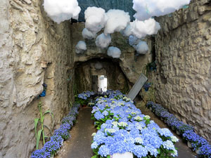Temps de Flors 2019. Muntatges, instal&middot;lacions i exposicions florals a diversos indrets
