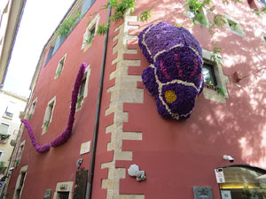 Temps de Flors 2019. Muntatges, instal&middot;lacions i exposicions florals a diversos indrets