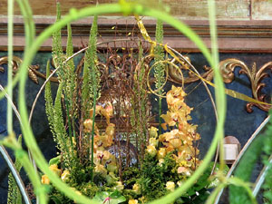 Temps de Flors 2019. Muntatges i instal&middot;lacions florals a l'Esgl&eacute;sia del Carme