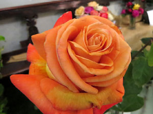 Temps de Flors 2019. Decoracions florals als diversos espais de l'Esgl&eacute;sia dels Dolors