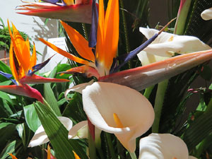 Temps de Flors 2019. Decoracions florals als diversos espais de l'Esgl&eacute;sia dels Dolors