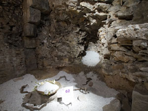 Temps de Flors 2019. Instal&middot;laci&oacute; floral Memorial Mahatma Gandhi al soterrani II de la Torre Gironella