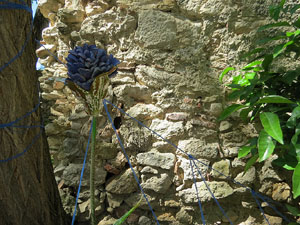 Temps de Flors 2019. Muntatges florals als Jardins dels Alemanys