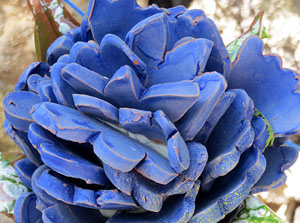 Temps de Flors 2019. Muntatges florals als Jardins dels Alemanys