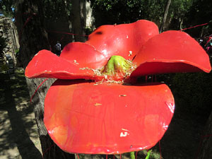 Temps de Flors 2019. Muntatges florals als Jardins dels Alemanys