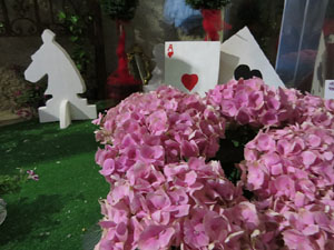 Temps de Flors 2019. Muntatges florals als Jardins del Campaner