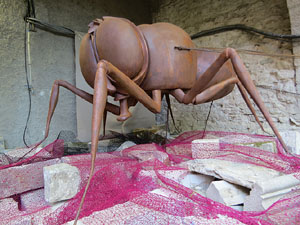 Temps de Flors 2019. Muntatges florals als Jardins del Campaner