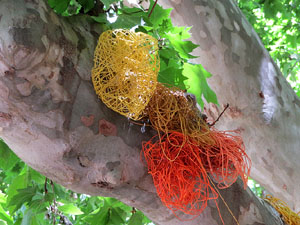 Temps de Flors 2019. Instal·lacions i muntatges als Jardins de la Devesa