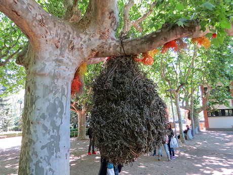 Temps de Flors 2019.Instal·lacions i muntatges als Jardins de la Devesa