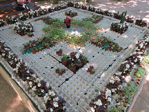 Temps de Flors 2019. Instal&middot;lacions i decoracions florals als diversos espais dels Jardins del doctor Figueras