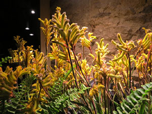 Temps de Flors 2019. Muntatges florals a la Casa Lle&oacute; Avinay