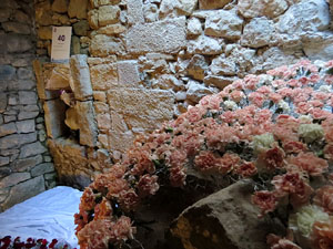 Temps de Flors 2019. Muntatges florals a la Casa Lle&oacute; Avinay