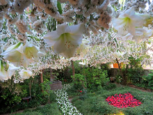 Temps de Flors 2019. Muntatges florals a la Casa Lle&oacute; Avinay