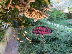 Temps de Flors 2019. Muntatges florals a la Casa Lle&oacute; Avinay