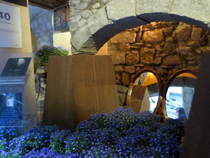 Temps de Flors 2019. Muntatges florals a la Casa Lle&oacute; Avinay