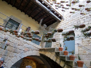 Temps de Flors 2019. Muntatges florals a la Casa Lle&oacute; Avinay