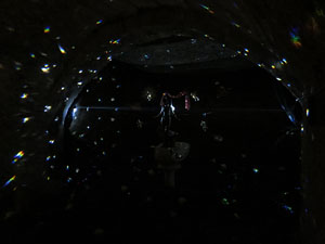 Temps de Flors 2019. Muntatges florals a la Casa Lle&oacute; Avinay