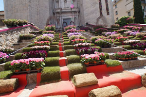 Temps de Flors 2019. Making of de l'esdeveniment