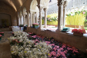 Temps de Flors 2019. Making of de l'esdeveniment