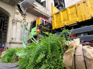 Temps de Flors 2019. Making of de l'esdeveniment