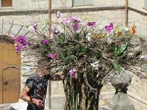 Temps de Flors 2019. Making of de l'esdeveniment