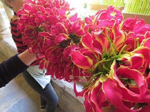 Temps de Flors 2019. Making of de l'esdeveniment