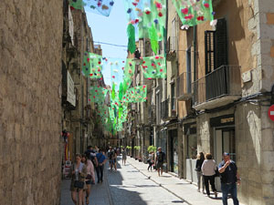 Temps de Flors 2019. Making of de l'esdeveniment