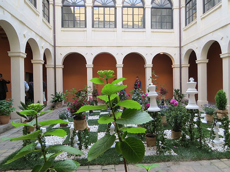 Temps de Flors 2019. Muntatges i instal·lacions florals al claustre del Museu d'Histò:ria