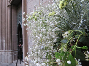 Temps de Flors 2019. Muntatges i instal&middot;lacions florals als diversos espais de l'Esgl&eacute;sia del Sagrat Cor