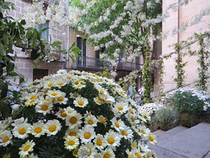 Temps de Flors 2019. Muntatges i instal&middot;lacions florals als diversos espais de l'Esgl&eacute;sia del Sagrat Cor