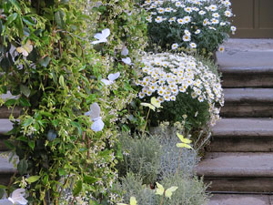 Temps de Flors 2019. Muntatges i instal&middot;lacions florals als diversos espais de l'Esgl&eacute;sia del Sagrat Cor