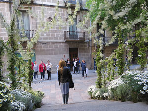 Temps de Flors 2019. Muntatges i instal&middot;lacions florals als diversos espais de l'Esgl&eacute;sia del Sagrat Cor
