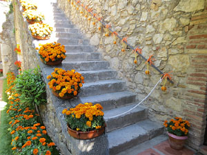 Temps de Flors 2019. Instal&middot;lacions i muntatges florals a la Capella de Sant Crist&ograve;fol, al Passeig Arqueol&ograve;gic