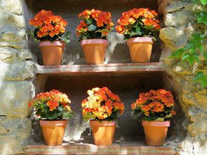 Temps de Flors 2019. Instal&middot;lacions i muntatges florals a la Capella de Sant Crist&ograve;fol, al Passeig Arqueol&ograve;gic