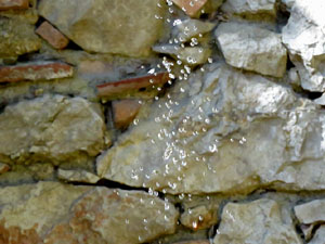 Temps de Flors 2019. Instal&middot;lacions i muntatges florals a la Capella de Sant Crist&ograve;fol, al Passeig Arqueol&ograve;gic