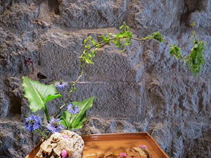 Temps de Flors 2019. Decoracions orientals al primer pis de l'edifici de les Sarra&iuml;nes