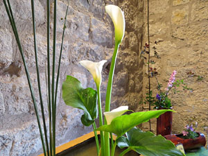 Temps de Flors 2019. Decoracions orientals al primer pis de l'edifici de les Sarra&iuml;nes