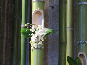 Temps de Flors 2019. Decoracions orientals al primer pis de l'edifici de les Sarra&iuml;nes