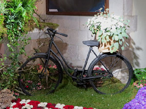 Temps de Flors 2019. Muntatges i instal&middot;lacions florals a l'Esgl&eacute;sia de Sant Mart&iacute; - Antic Seminari