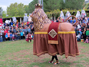 Fires 2019. 38a. Trobada de Gegants de Fires de Sant Narc&iacute;s al Parc del Migdia