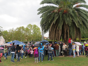 Fires 2019. 38a. Trobada de Gegants de Fires de Sant Narc&iacute;s al Parc del Migdia