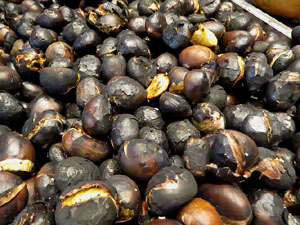 Fires 2019. Imatges diverses